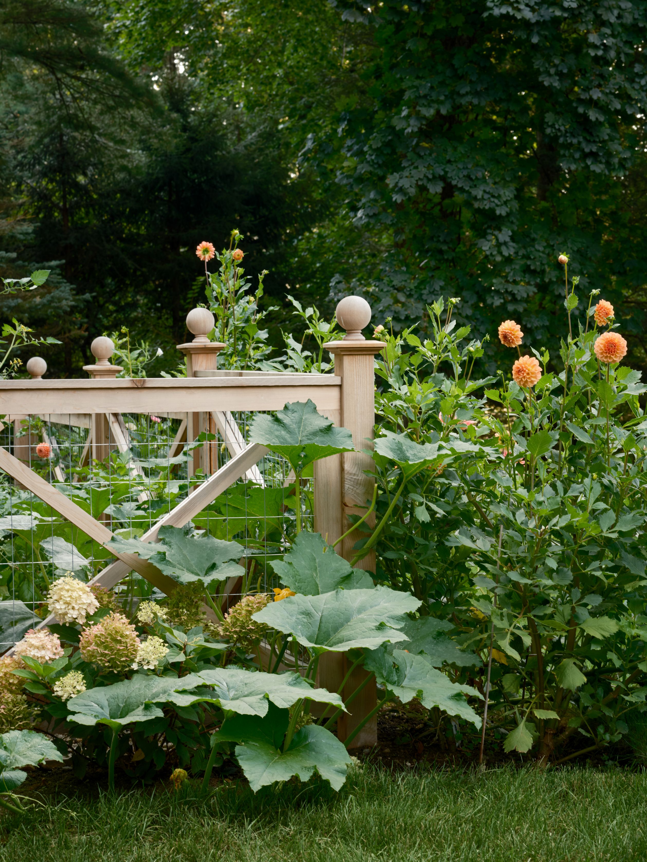 Smith Ridge Garden